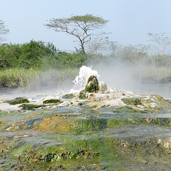 3 Days Uganda Wildlife Tour to Semuliki National Park