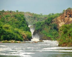 5 Day Murchison Falls National Park Wildlife Safari & Kibale National Park Chimpanzee Tracking Tour