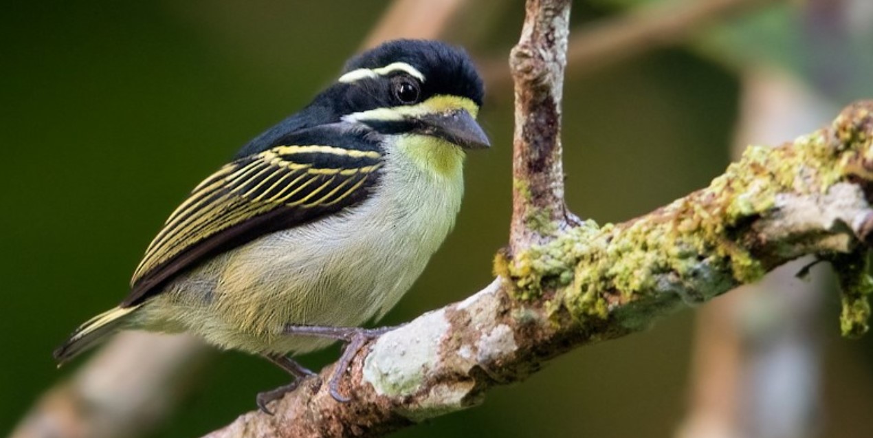 Kampala City and Slum Tours